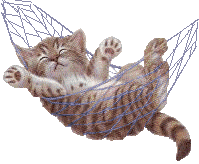 chaton:p